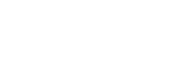 Sex Pistols Expose logo