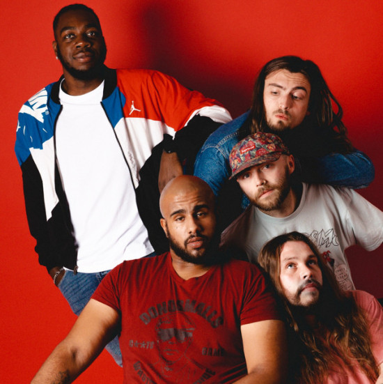 Hauskatt promotional photo