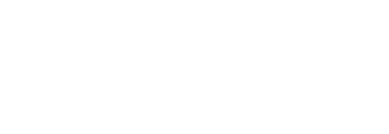 Elvana logo
